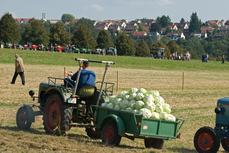 DLM Hohenheim - Fendt Farmer 1